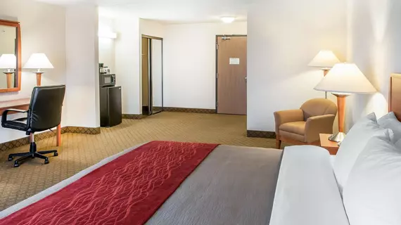 Comfort Inn & Suites Socorro | New Mexico - Socorro