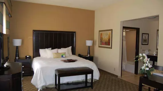 Hampton Inn & Suites McAlester | Oklahoma - McAlester (ve civarı) - McAlester