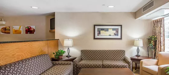 Quality Inn & Suites Mt. Juliet | Tennessee - Nashville-Davidson - Nashville (ve civarı) - Mount Juliet