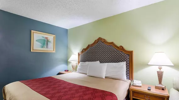 Econo Lodge Conroe | Teksas - Conroe (ve civarı) - Conroe