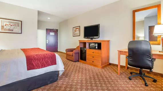 COMFORT INN & SUITES | Nevada - Clark County - Las Vegas (ve civarı) - Las Vegas