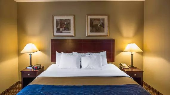 Comfort Inn Rochester | New York - Rochester (ve civarı) - Rochester