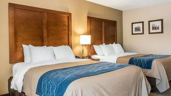 Comfort Inn Clarks Summit | Pensilvanya - Scranton (ve civarı) - Clarks Summit