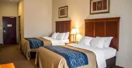 Comfort Inn & Suites Kent | Ohio - Summit İlçesi - Akron (ve civarı) - Kent