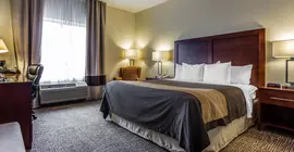 Comfort Inn & Suites | Güney Karolayna - Columbia (ve civarı) - Camden