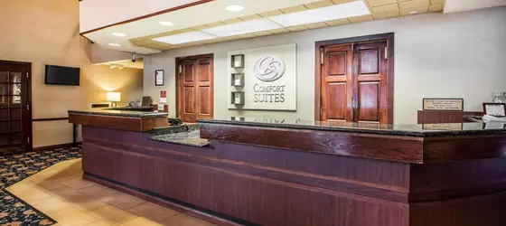 Comfort Suites Madison | Wisconsin - Madison (ve civarı) - Madison