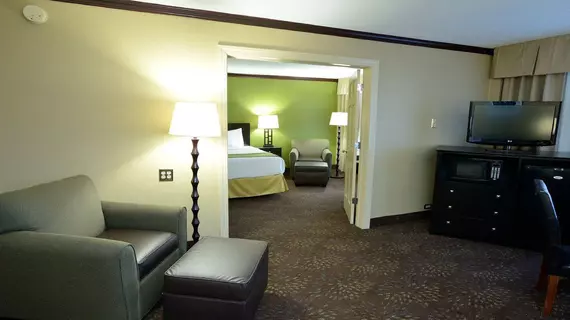 Holiday Inn Chicago/Oak Brook | İllinois - Oakbrook Terrace