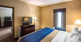 Comfort Inn Rochester | New York - Rochester (ve civarı) - Rochester