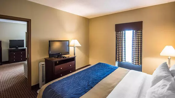 Comfort Inn Rochester | New York - Rochester (ve civarı) - Rochester