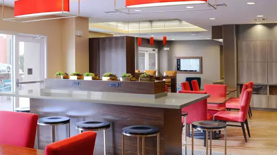 Towneplace Suites by Marriott Houston Galleria Area | Teksas - Houston (ve civarı) - Houston