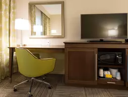 Hampton Inn & Suites Orangeburg | Güney Karolayna - Orangeburg (ve civarı) - Orangeburg