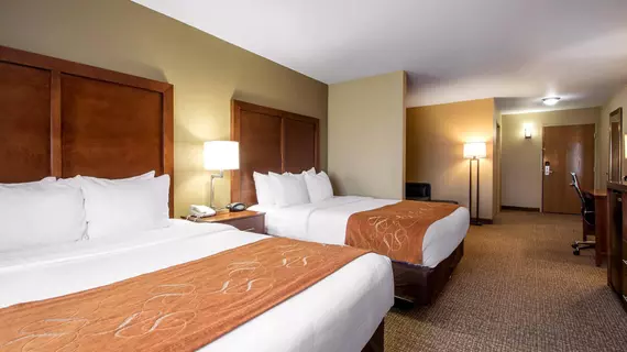 Comfort Suites Johnson Creek | Wisconsin - Fort Atkinson (ve civarı) - Johnson Creek