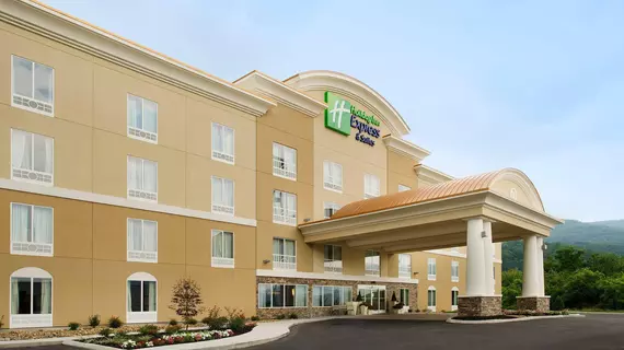 Holiday Inn Express & Suites Caryville | Tennessee - Caryville (ve civarı) - Caryville