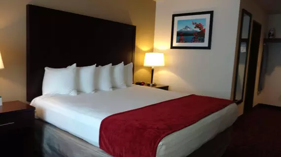 Best Western Pony Soldier Inn-Airport | Oregon - Portland (ve civarı) - Portland - Parkrose