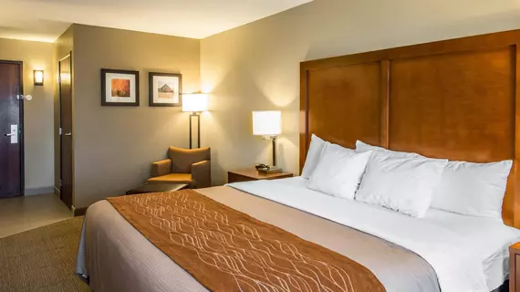 Comfort Inn & Suites Spokane Valley | Washington - Spokane (ve civarı) - Spokane Valley