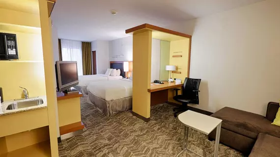 SpringHill Suites Albany-Colonie | New York - Albany (ve civarı) - Albany