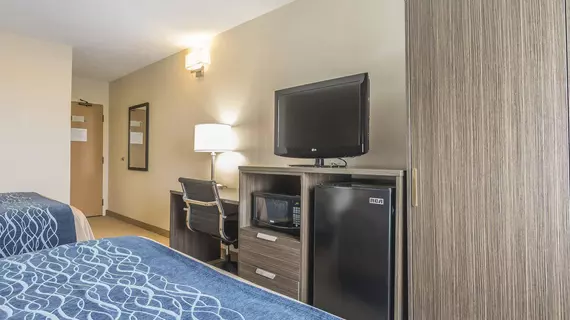 COMFORT INN LEVIS | Quebec - Quebec (ve civarı) - Levis