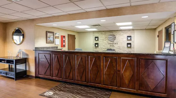 Comfort Inn Waynesboro | Virginia - Staunton (ve civarı) - Waynesboro