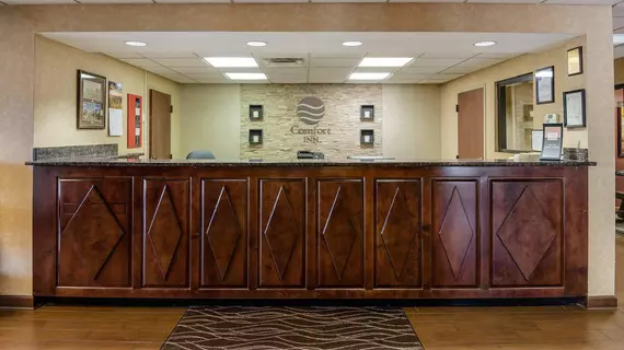 Comfort Inn Waynesboro | Virginia - Staunton (ve civarı) - Waynesboro