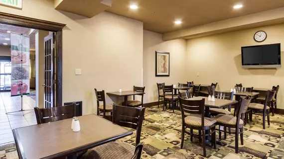 Quality Inn and Suites | Ohio - Cleveland (ve civarı) - Oakwood Village