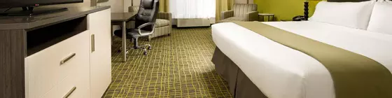 Holiday Inn Express & Suites Caryville | Tennessee - Caryville (ve civarı) - Caryville