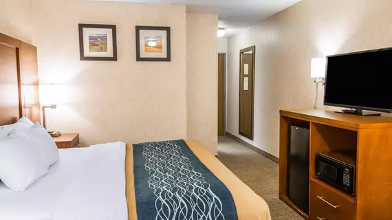 Comfort Inn Lewiston | Idaho - Lewiston (ve civarı) - Lewiston