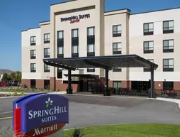 SpringHill Suites St. Louis Airport/Earth City | Missouri - St. Louis (ve civarı) - Bridgeton