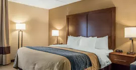 Comfort Inn Clarks Summit | Pensilvanya - Scranton (ve civarı) - Clarks Summit