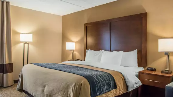 Comfort Inn Clarks Summit | Pensilvanya - Scranton (ve civarı) - Clarks Summit