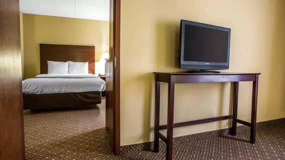 Comfort Suites Gettysburg | Pensilvanya - Gettysburg (ve civarı) - Gettysburg