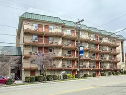 Sleep Inn & Suites Gatlinburg | Tennessee - Gatlinburg - Pigeon Forge (ve civarı) - Gatlinburg