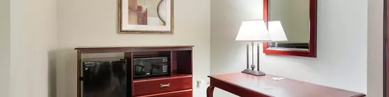 Comfort Inn Broussard | Louisiana - Lafayette (ve civarı) - Broussard