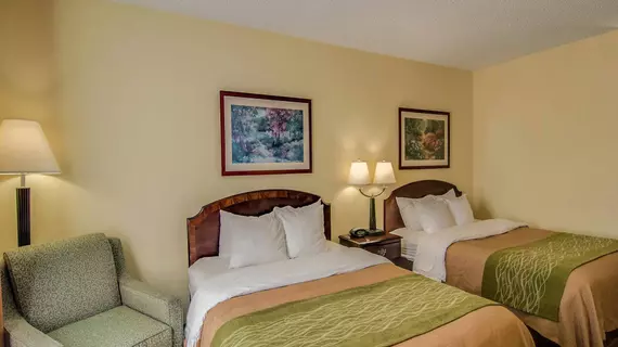 Comfort Inn Staunton | Virginia - Staunton (ve civarı) - Staunton