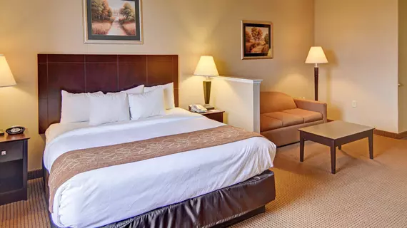 Comfort Suites Near Alliance | Teksas - Fort Worth (ve civarı) - Roanoke