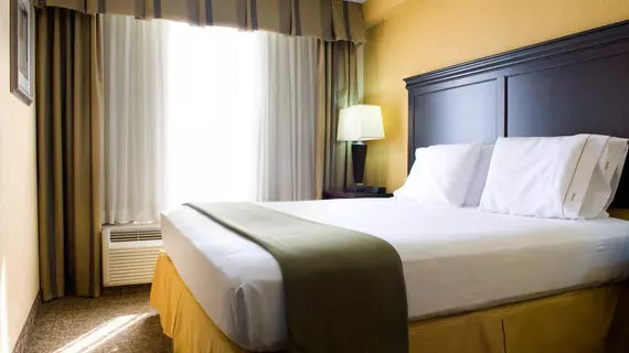 Holiday Inn Express Hotel & Suites Dallas Fort Worth Airport South | Teksas - Dallas (ve civarı) - Irving