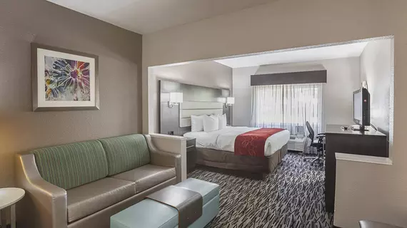 Comfort Suites Vista Ridge Mall | Teksas - Dallas (ve civarı) - Lewisville