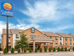 Comfort Inn & Suites Sikeston | Missouri - Sikeston (ve civarı) - Sikeston - Miner