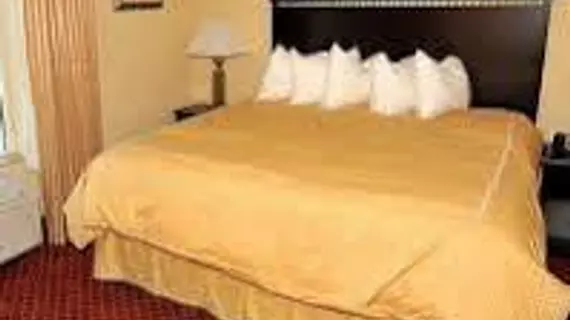 Comfort Suites West Memphis | Arkansas - Batı Memphis (ve civarı) - Batı Memphis