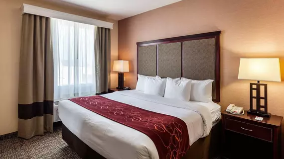 Comfort Suites Plano | Teksas - Dallas (ve civarı) - Plano