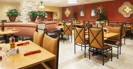 DoubleTree by Hilton San Antonio Airport | Teksas - San Antonio (ve civarı) - San Antonio - Kuzey San Antonio - SAT Havalimanı