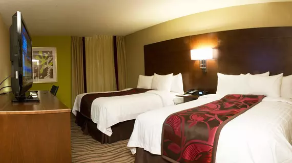 Fairfield Inn & Suites by Marriott Dallas DFW Airport South/Irving | Teksas - Dallas (ve civarı) - Irving