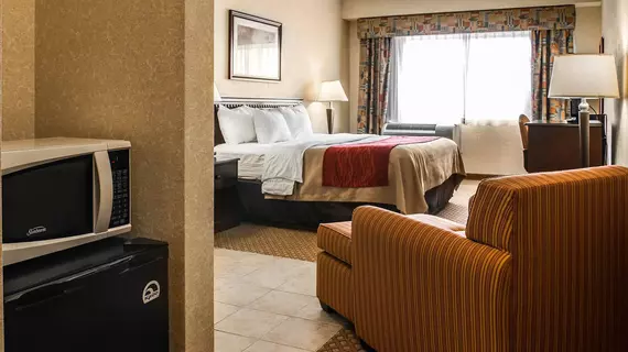 Comfort Inn Waterford | Michigan - Detroit (ve civarı) - Waterford