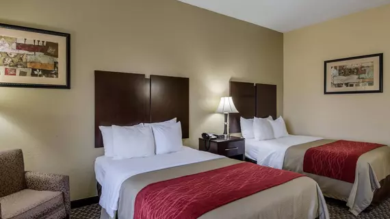 Comfort Inn Waynesboro | Virginia - Staunton (ve civarı) - Waynesboro