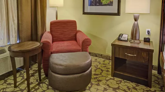 Hilton Garden Inn Memphis/Wolfchase Galleria | Tennessee - Memphis (ve civarı) - Cordova