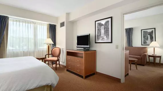 Hilton Garden Inn Ithaca | New York - Ithaca (ve civarı) - Ithaca