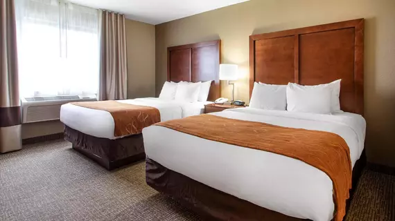 Comfort Suites Johnson Creek | Wisconsin - Fort Atkinson (ve civarı) - Johnson Creek