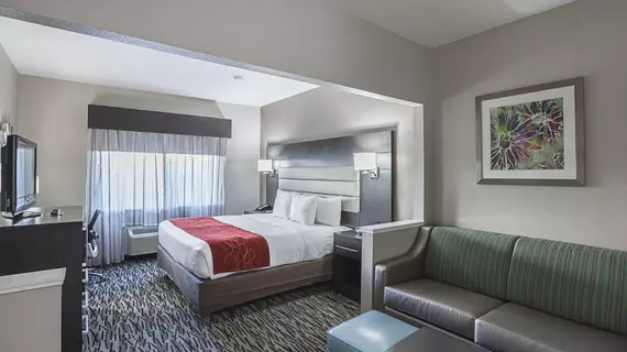 Comfort Suites Vista Ridge Mall | Teksas - Dallas (ve civarı) - Lewisville