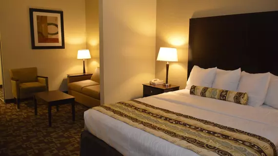 Best Western PLUS Hobby Airport Inn and Suites | Teksas - Houston (ve civarı) - Houston