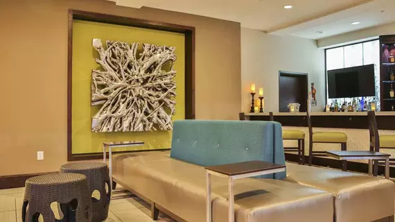 Hilton Garden Inn Murfreesboro | Tennessee - Nashville-Davidson - Nashville (ve civarı) - Murfreesboro