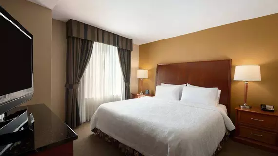 Hilton Garden Inn Houston/The Woodlands | Teksas - Conroe (ve civarı) - The Woodlands